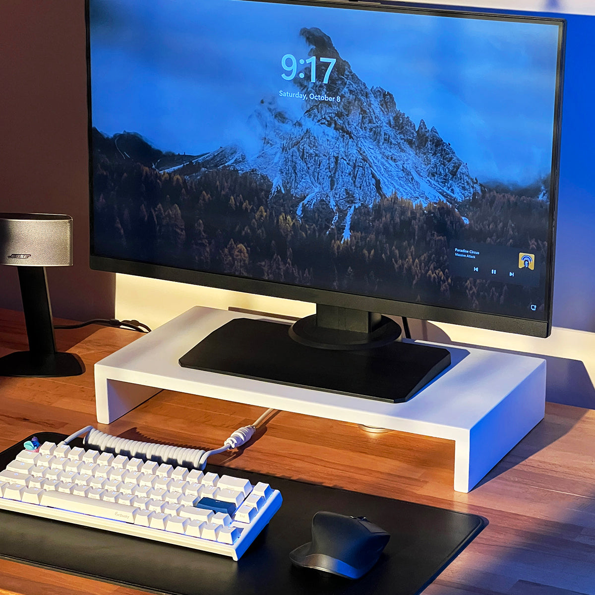 Monitor Stand Riser for Desk (small) - Desk Organizer